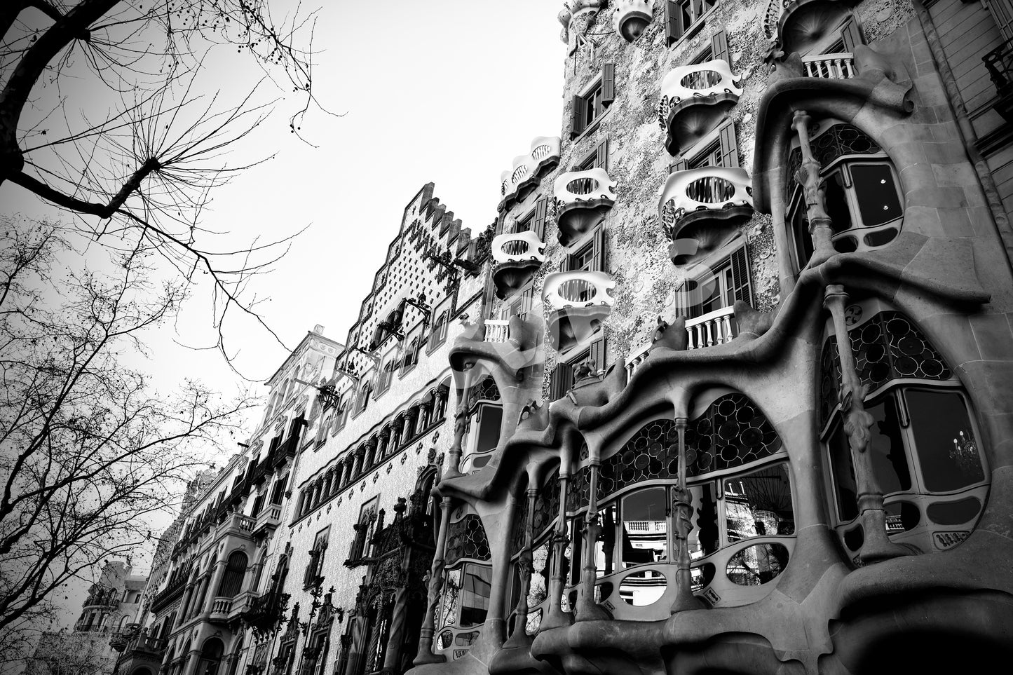Architectura Viva