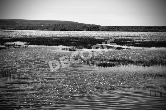 Litus Crepusculi