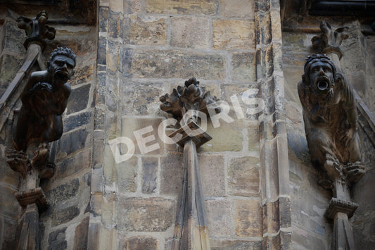 Crux Petrae