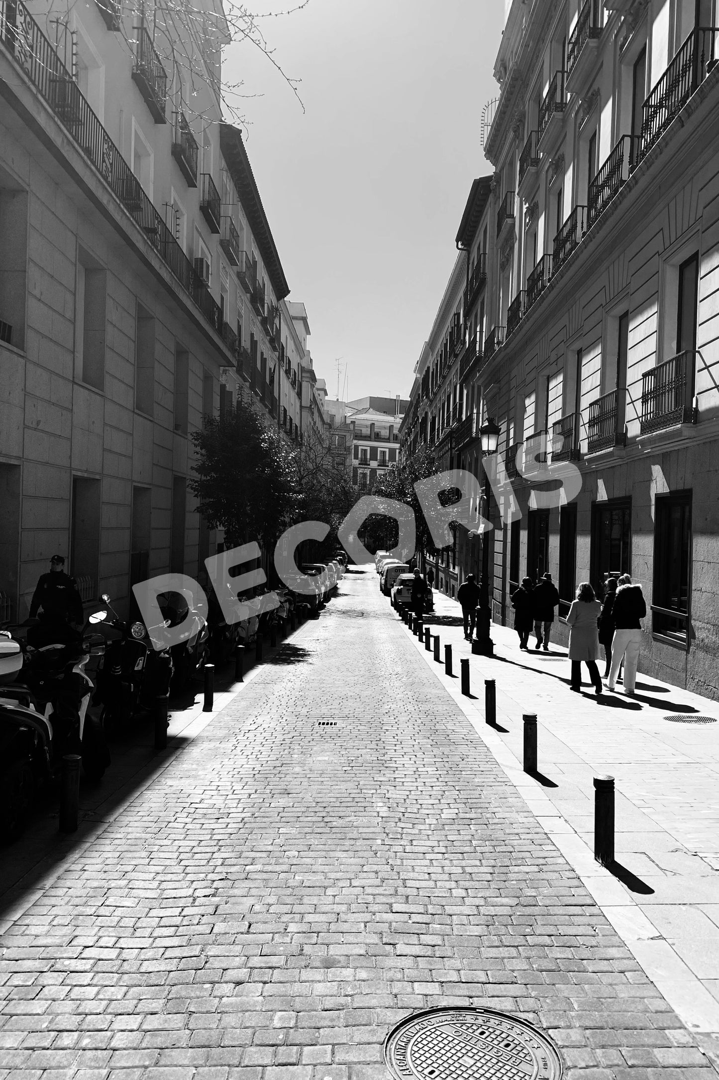 Umbrae et Lux