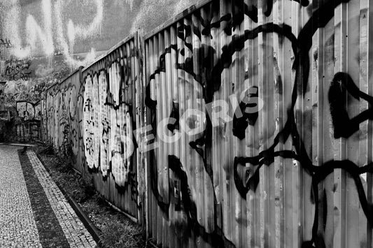 Murus Vox